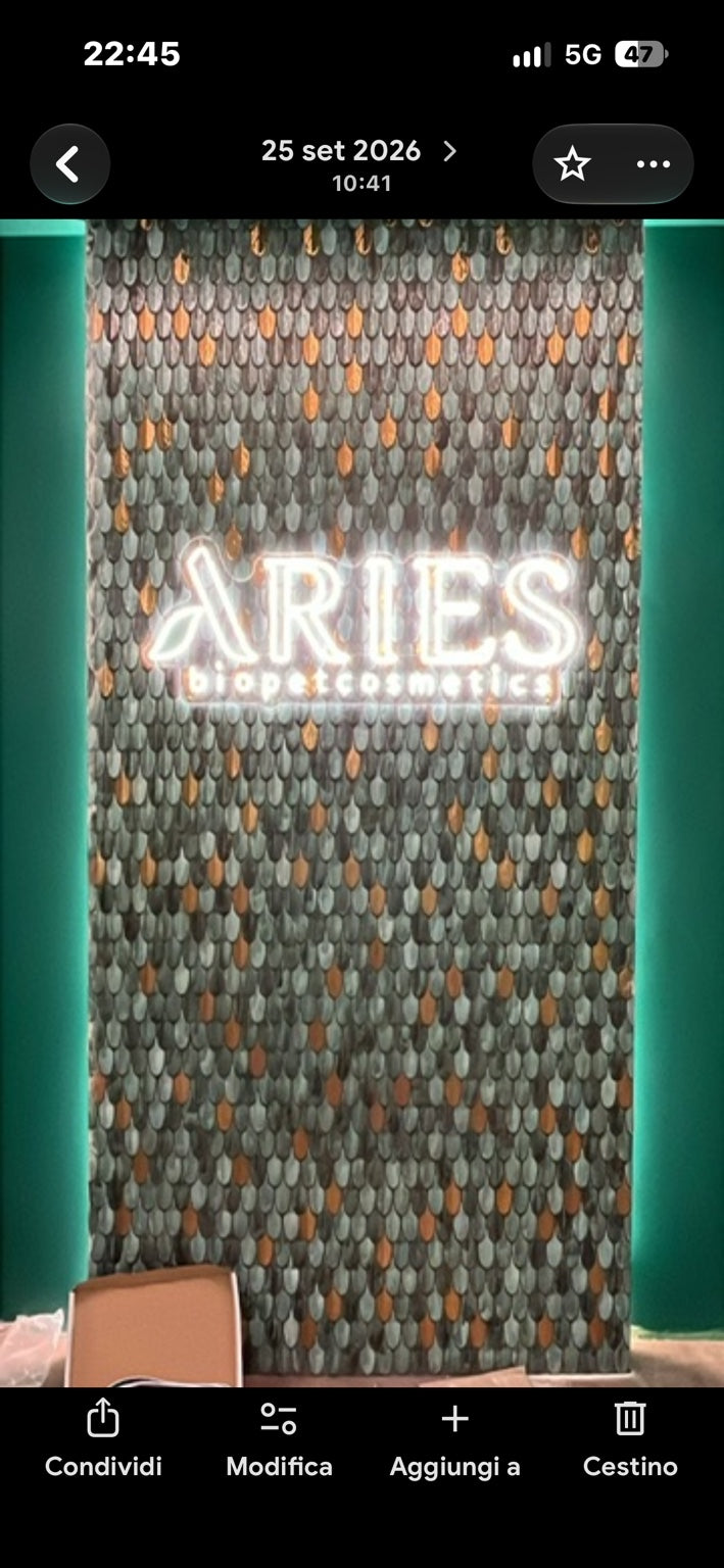 Logo ARIES realizzato come insegna luminosa