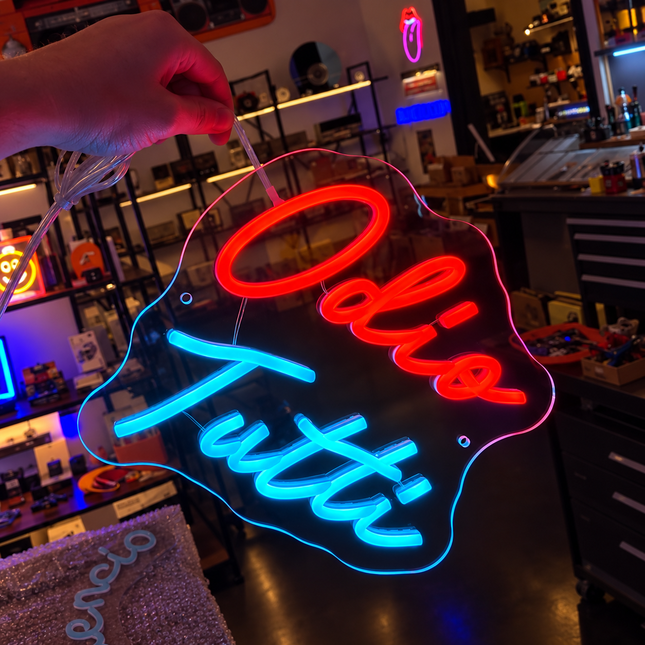 Neon LED Odio tutti realizzato da Erwitt